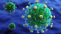 Un vaccin nou elimină virusul asemănător HIV din maimuţe