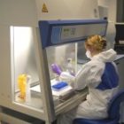 Noile directive europene privind țesuturile și celulele umane cresc siguranța pacientului