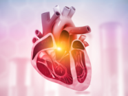 Îmbunătățirea politicii și a rezultatelor pentru persoanele cu boli cardiovasculare în Europa