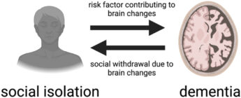 O nouă asociere între izolarea socială și factorii de risc pentru demență